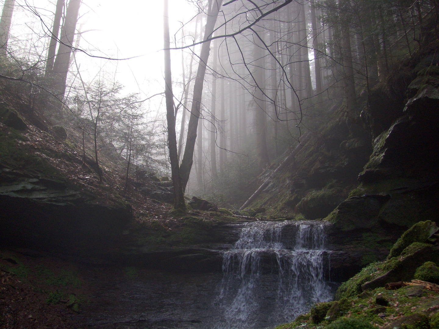 Holzbronn Xanderklinge im Morgennebel