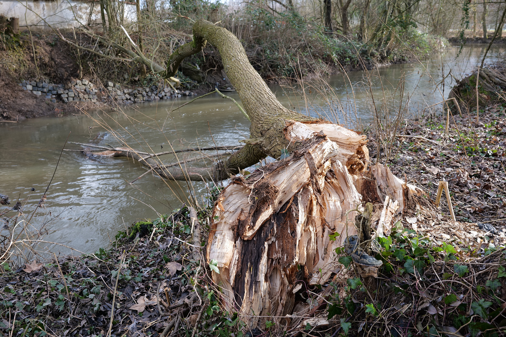 Holzbruch