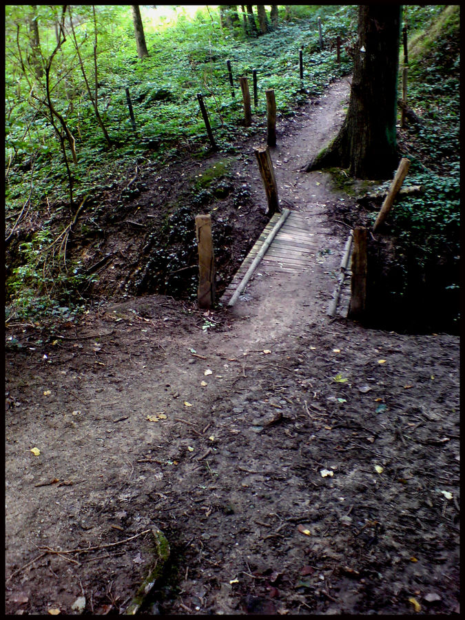 holzbrücke