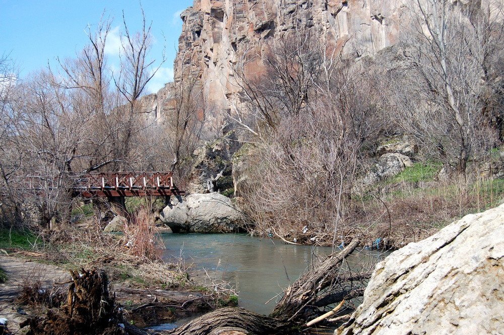 Holzbrücke 1