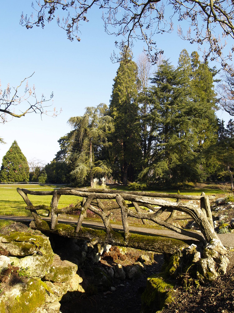 Holzbrücke