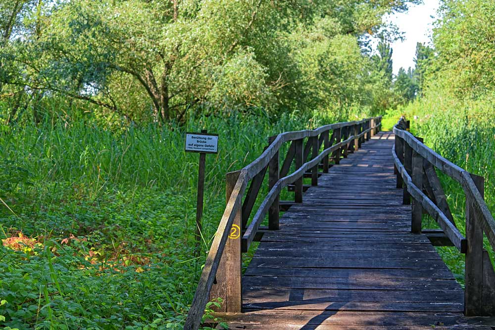 HOLZBRUECKE