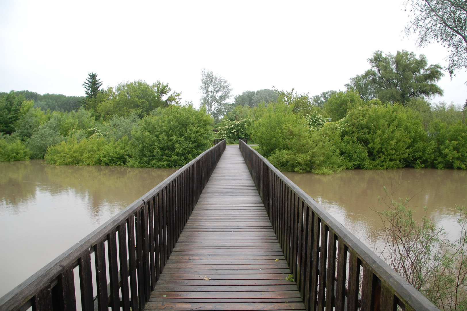 Holzbrücke