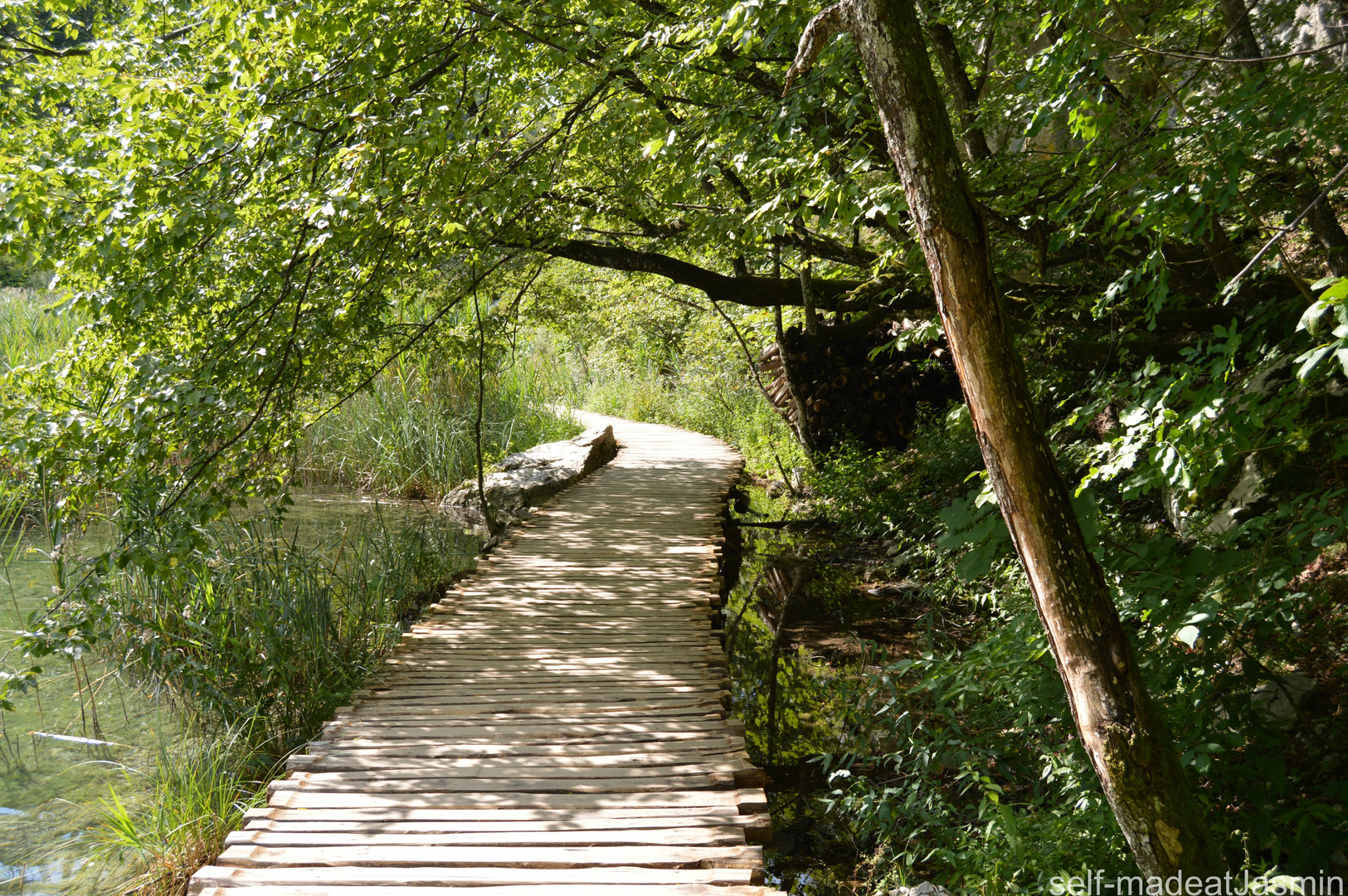 Holzbrücke