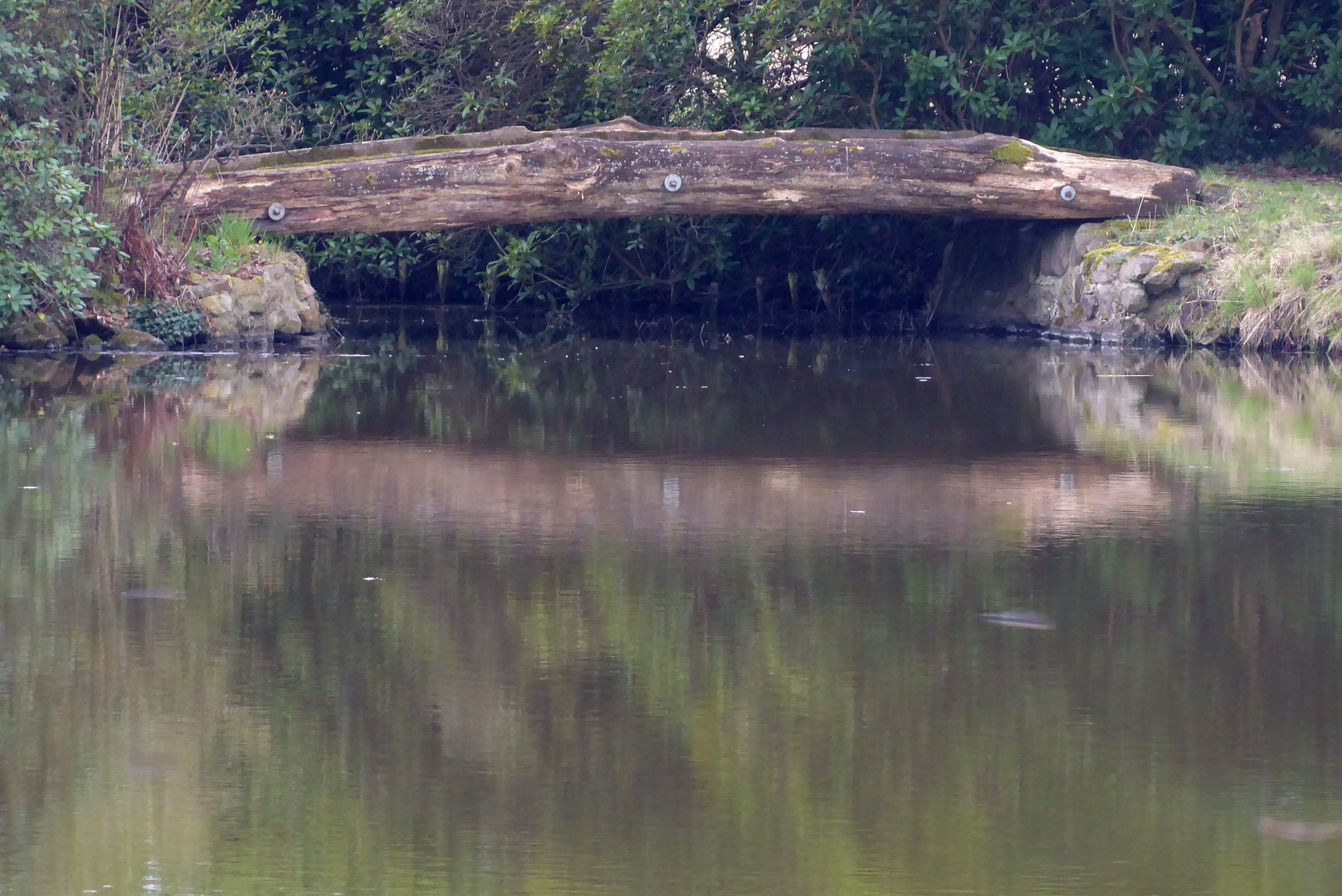 Holzbrücke