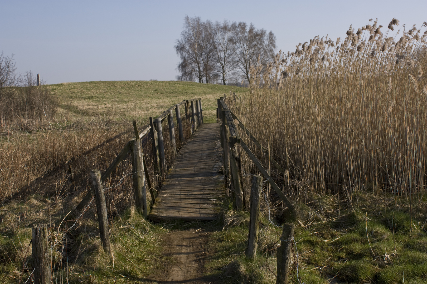 Holzbrücke Alt Lübeck