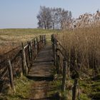 Holzbrücke Alt Lübeck