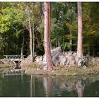 Holzbrücke am Teich