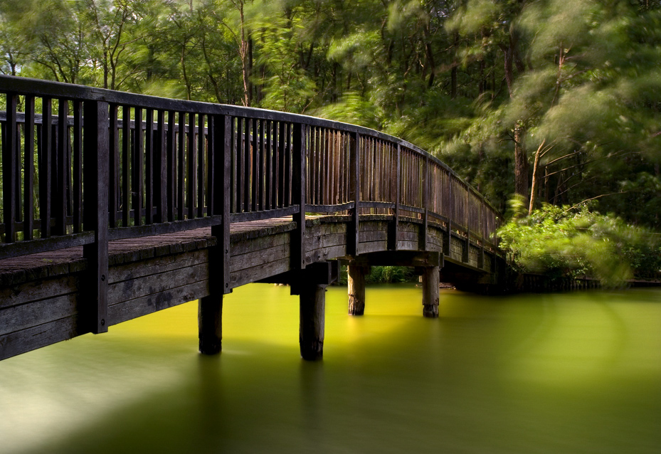 Holzbrücke an einem Waldsee