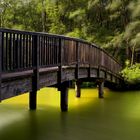 Holzbrücke an einem Waldsee