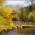 Holzbrücke an Siegmündung im Herbst (Golden Bridge)