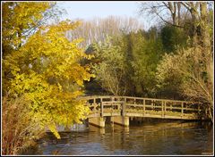 Holzbrücke an Siegmündung im Herbst (Golden Bridge)