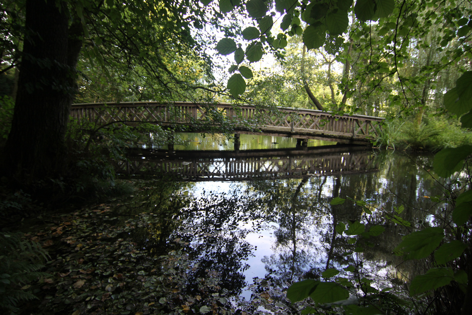 Holzbrücke