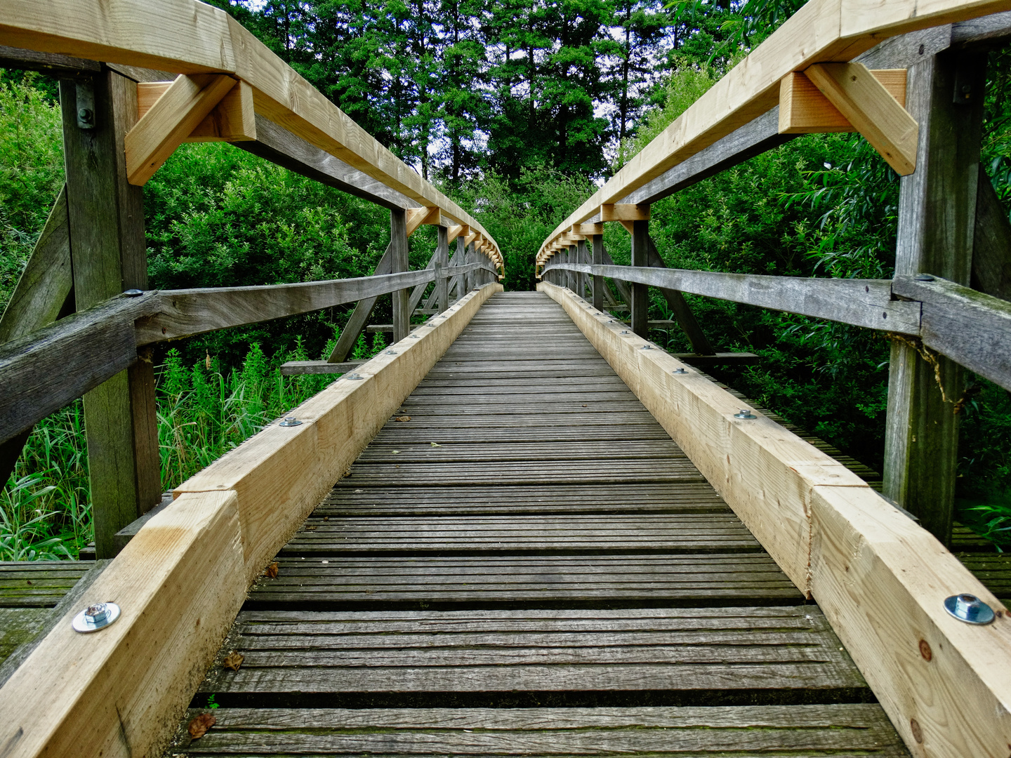 Holzbrücke