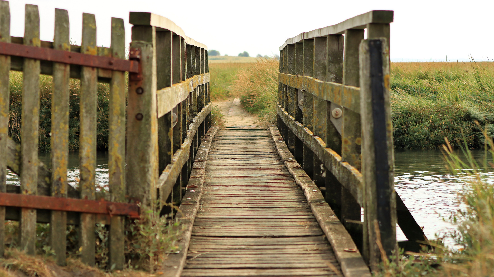 Holzbrücke