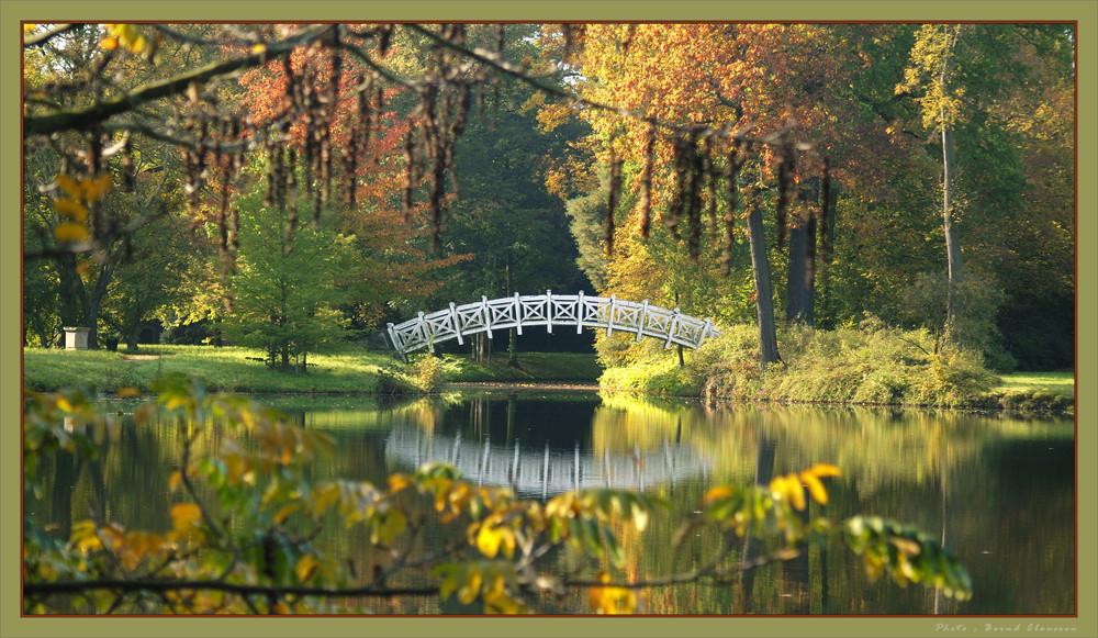 Holzbrücke - Dessau-Wörlitzer Gartenreich