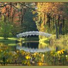 Holzbrücke - Dessau-Wörlitzer Gartenreich