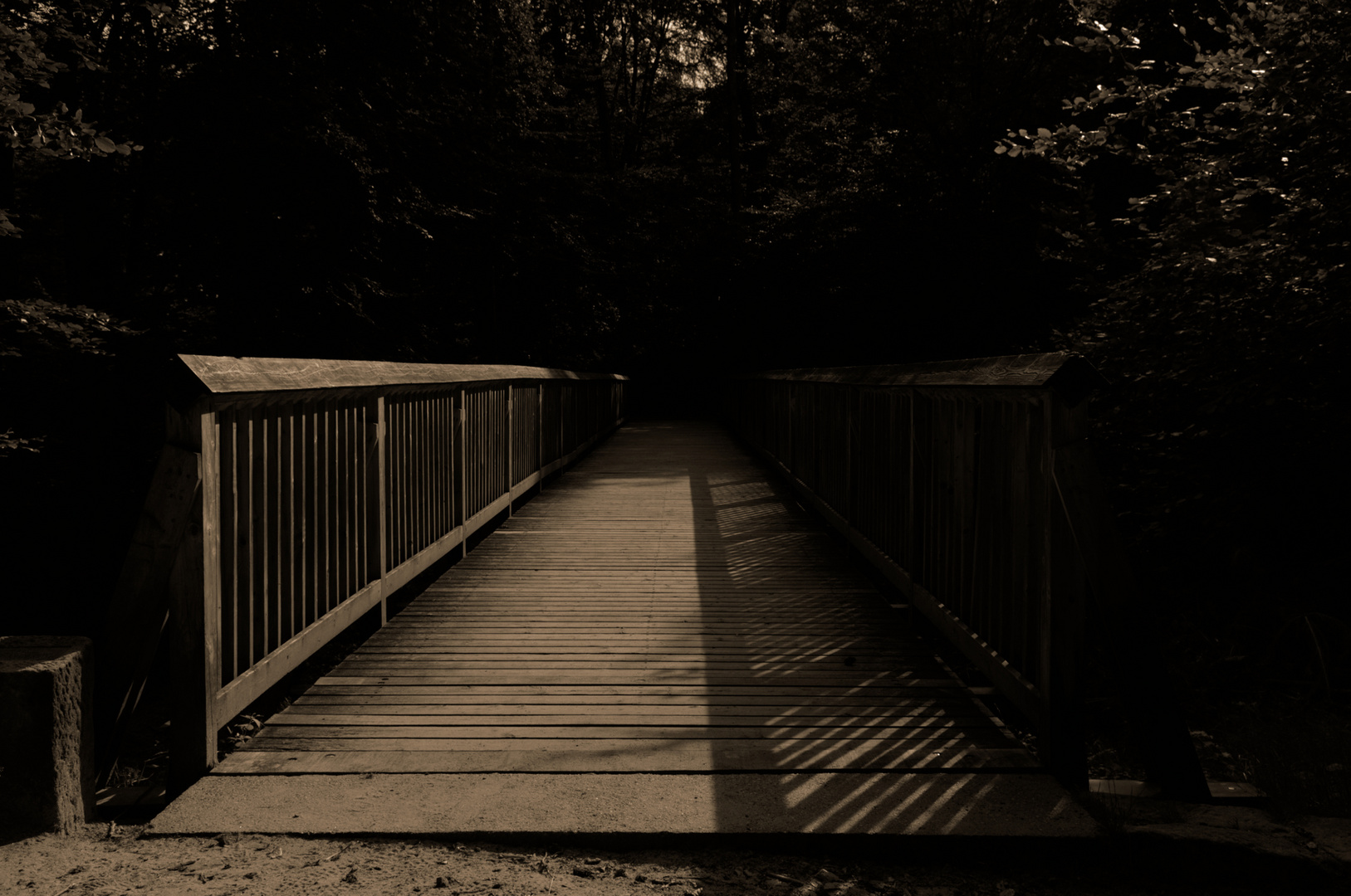 Holzbrücke | Dresdener Heide