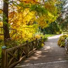 Holzbrücke im Botanischen Garten