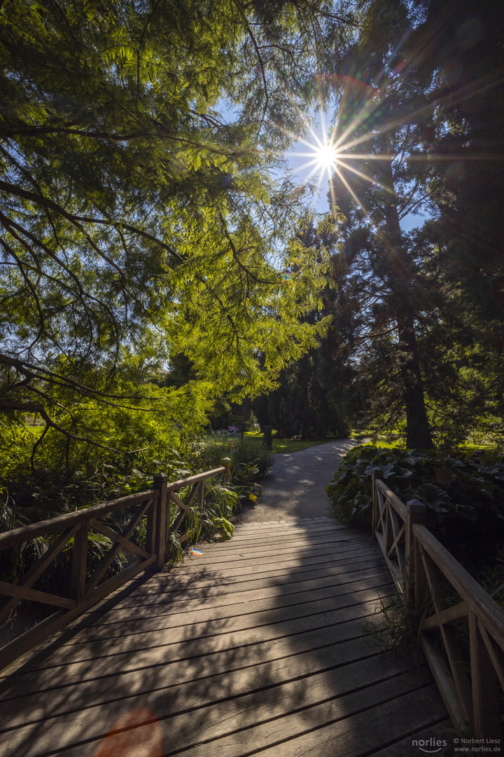 Holzbrücke im Garten