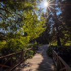 Holzbrücke im Garten