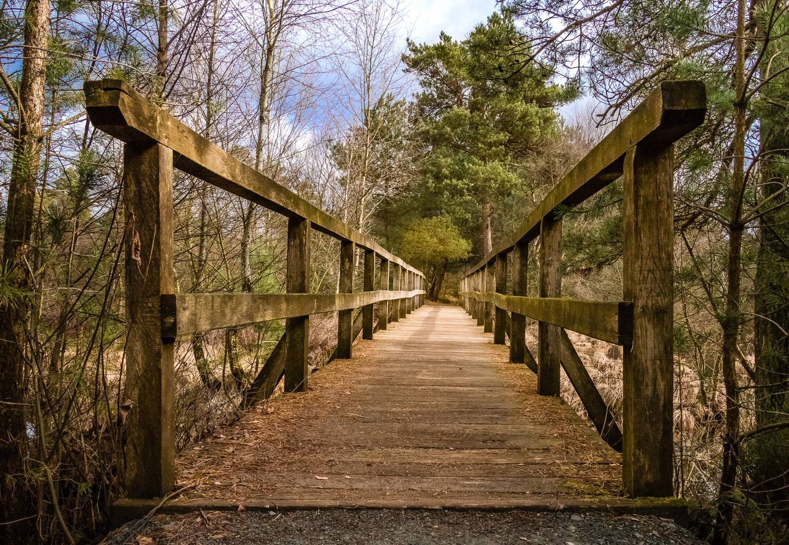 Holzbrücke im Grundlosen Moor