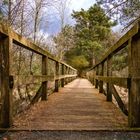 Holzbrücke im Grundlosen Moor