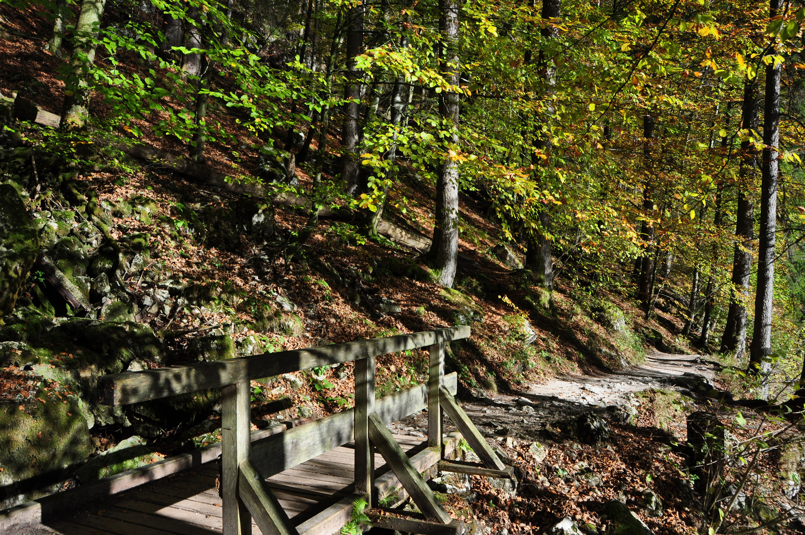 Holzbrücke im Herbst