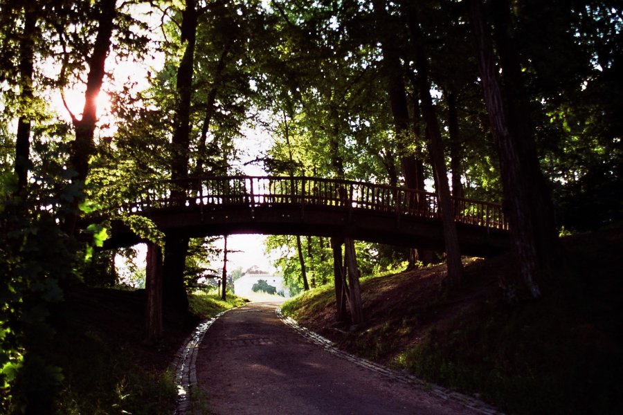 Holzbrücke im Jenischpark