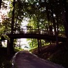 Holzbrücke im Jenischpark