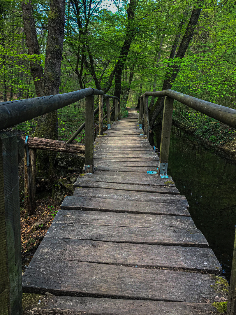 Holzbrücke im Wald