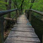 Holzbrücke im Wald