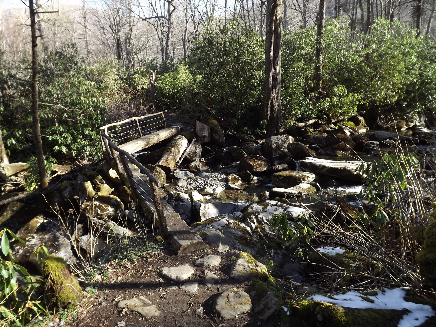 Holzbrücke im Wald