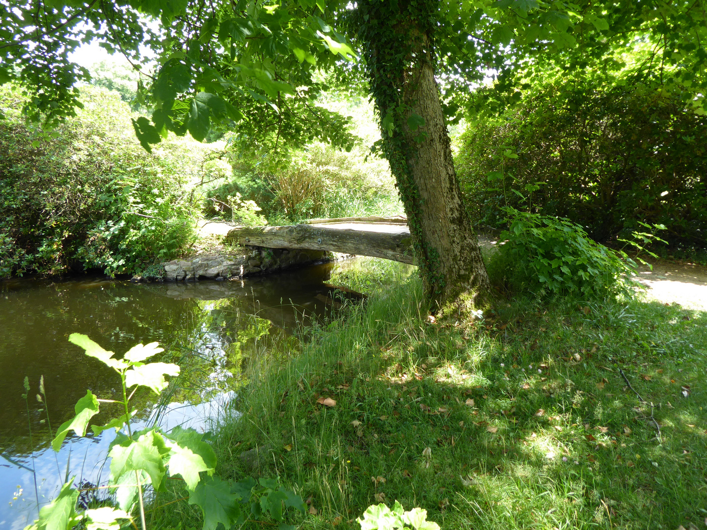Holzbrücke im Wiesenburger Park