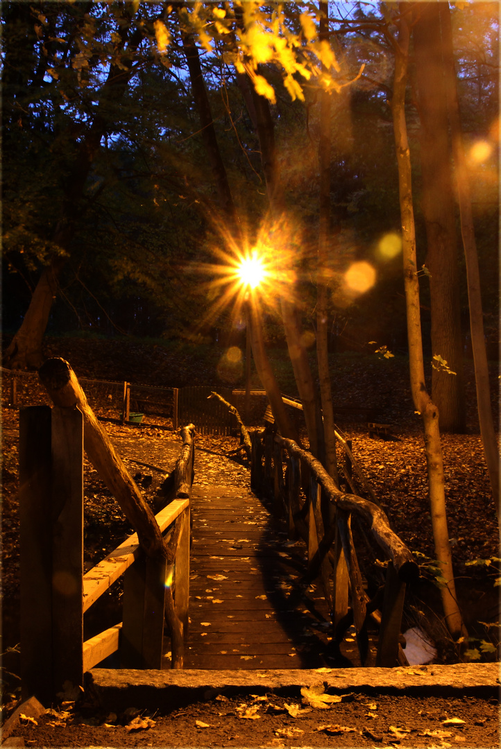 Holzbrücke in Hude