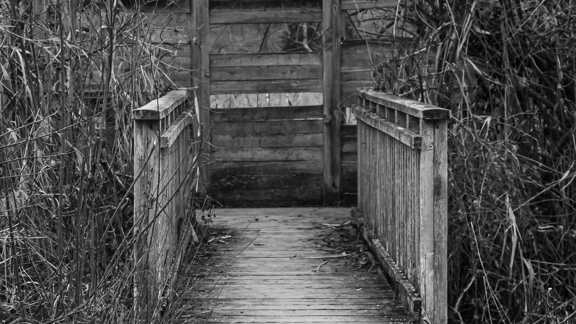 Holzbrücke in Schwarz/Weiß