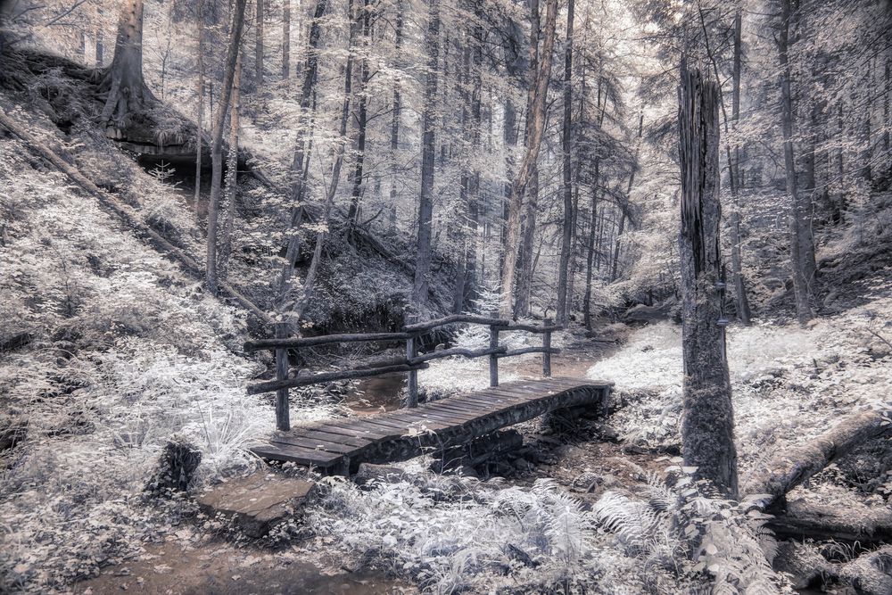 Holzbrücke [IR]