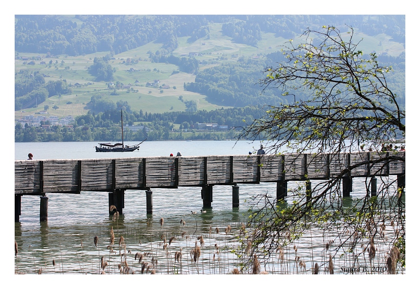 Holzbrücke Rapperswil 2