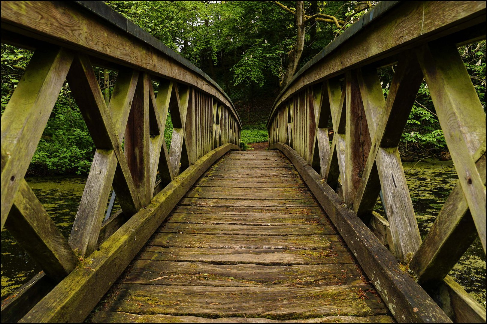 Holzbrücke Schlosspark Agathenburg #1