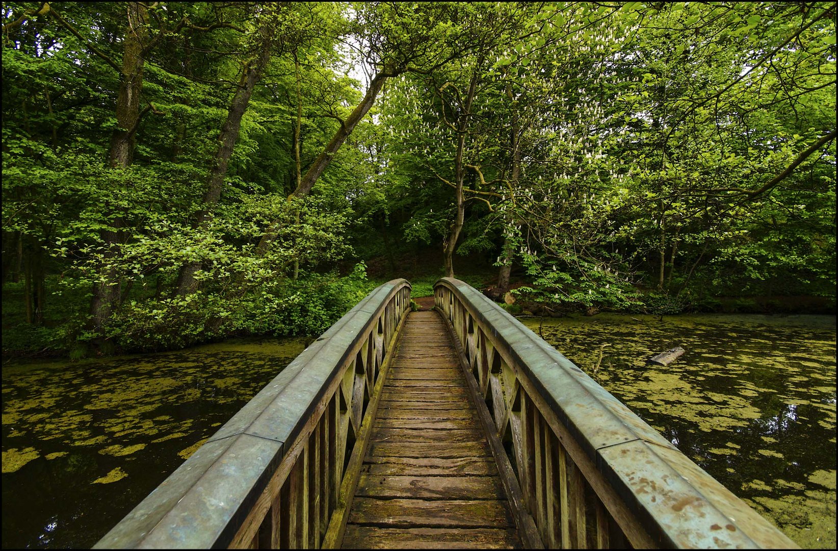 Holzbrücke Schlosspark Agathenburg #2