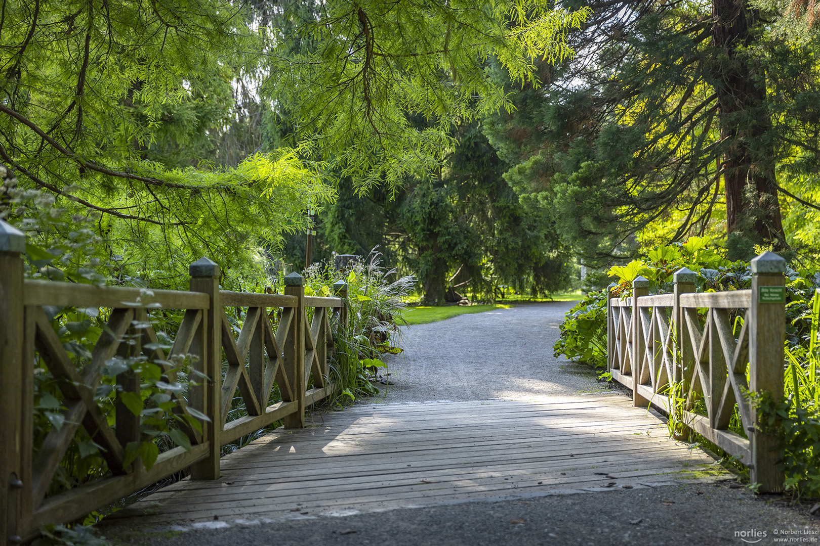 Holzbrücke über dem Bach