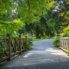 Holzbrücke über dem Bach