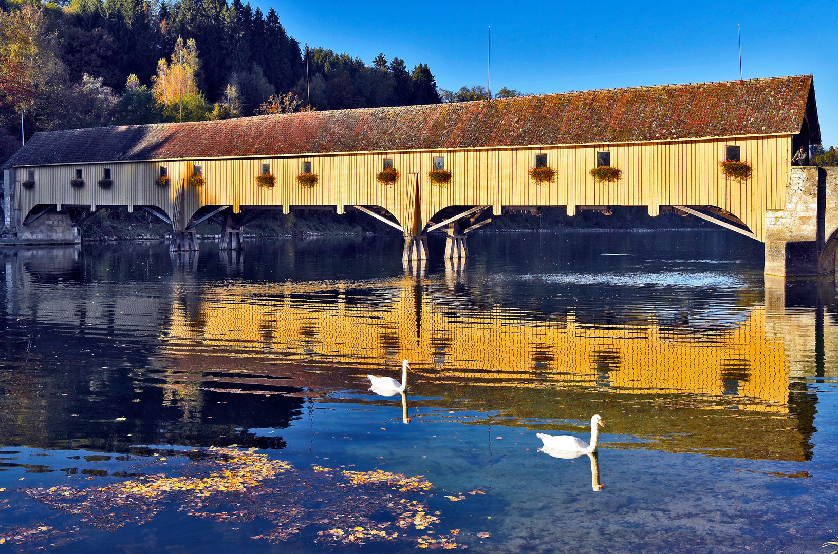 Holzbrücke über den Rhein Schweiz - Deutschland  