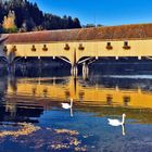 Holzbrücke über den Rhein Schweiz - Deutschland  