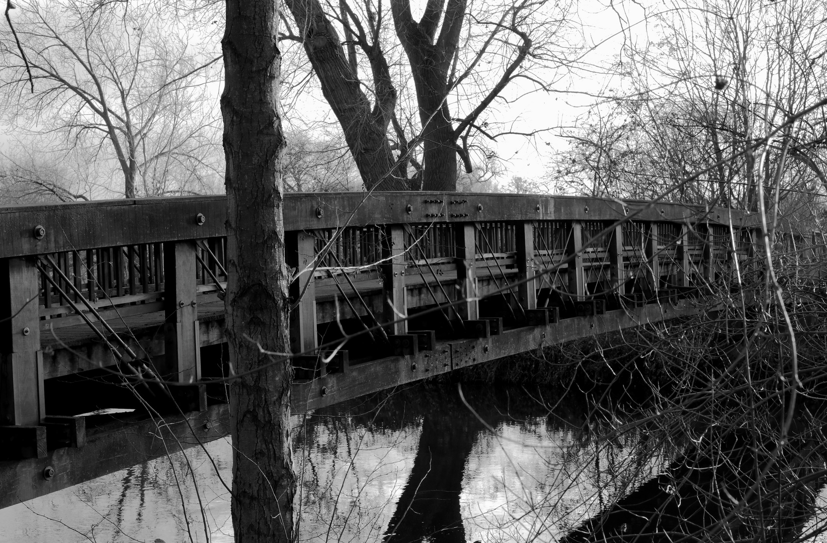 Holzbrücke über die Leine