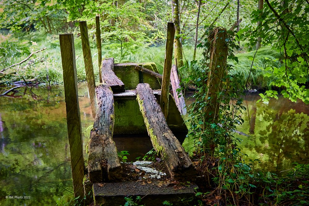 Holzbrücke über die Moosalbe bei Trippstadt