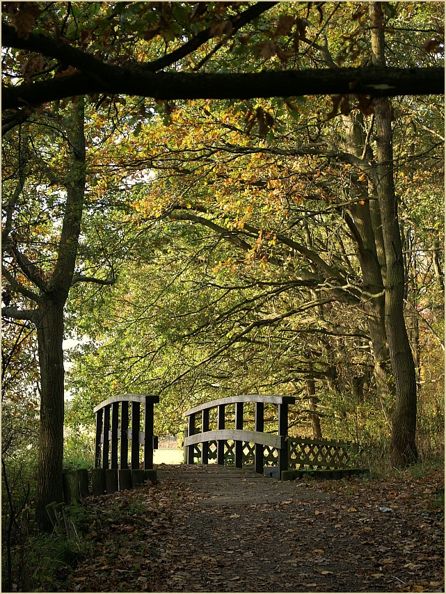 Holzbrücke über die Wabe am Rande der Buchhorst (Braunschweig)