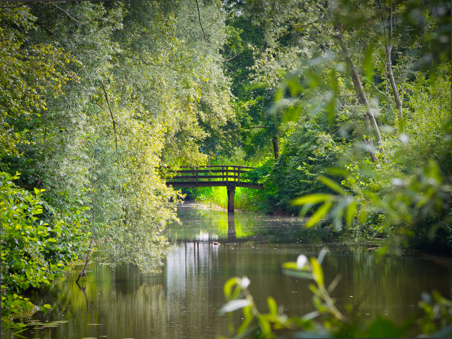 Holzbrücke über einen Teich Foto & Bild natur, see, landschaft Bilder