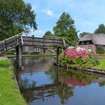 Holzbrücke und Hortensien ...