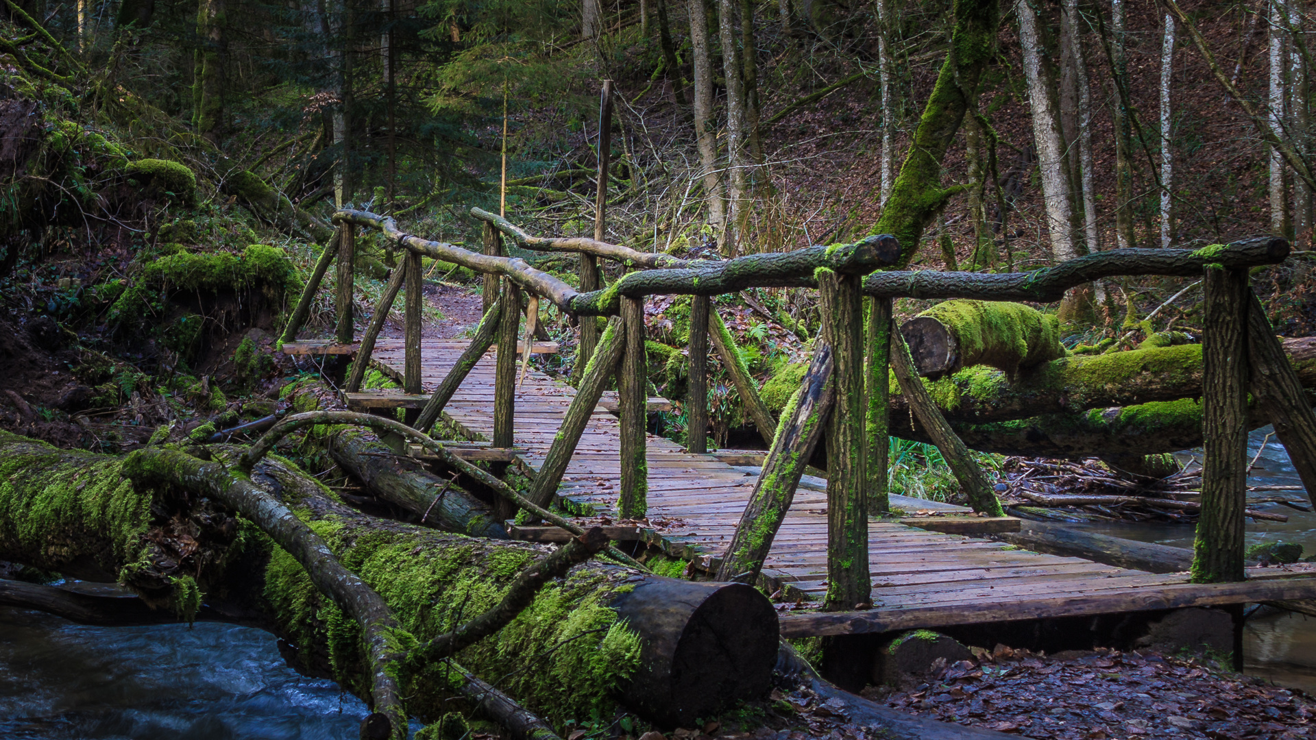 Holzbrücke Wieslaufschlucht